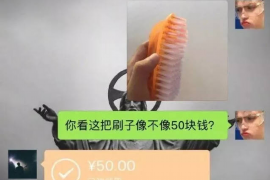 顺德债务清欠服务